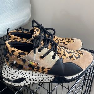 Steve Madden cliff sneaker